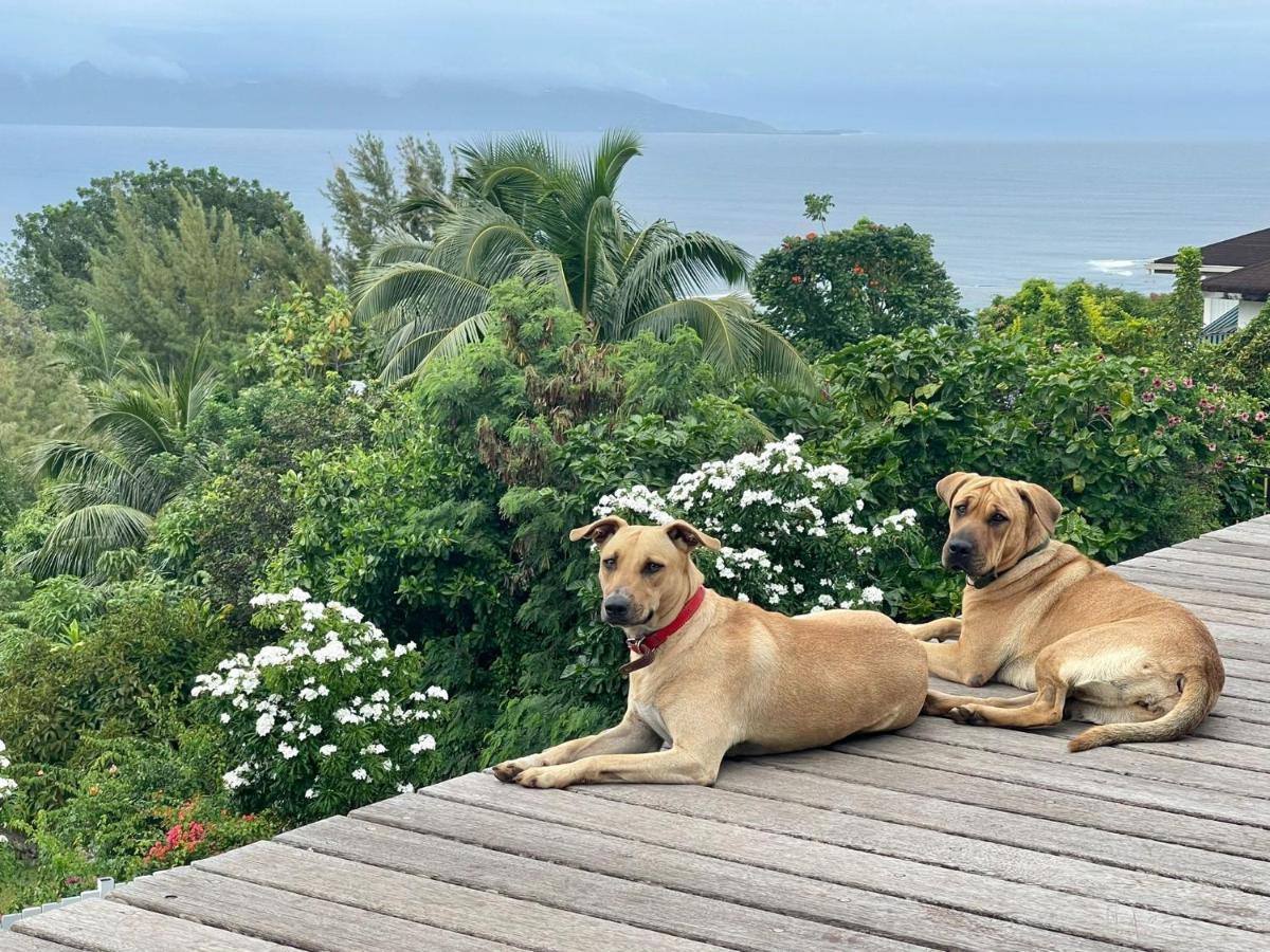 Jolie Maison Vue Ocean Et Moorea Punaauia  Eksteriør billede